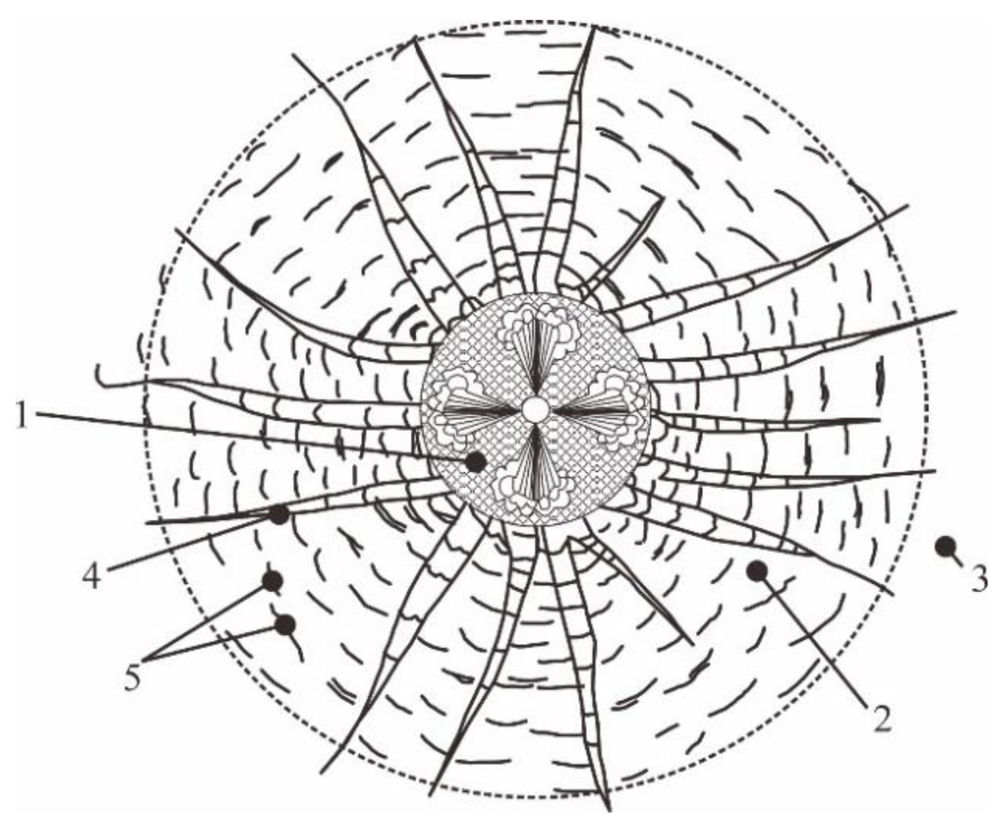 Rock fracture zone distribution around the borehole